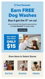 Bosley's flyer Page 16