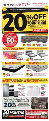 Tepperman's flyer (valid until 20-08)