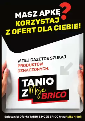 Bricomarche gazetka (ważność do 2-08)