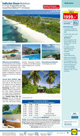 Lidl Flugblatt Seite 11