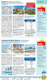 Lidl Flugblatt Seite 13