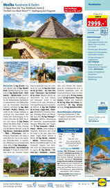 Lidl Flugblatt Seite 17