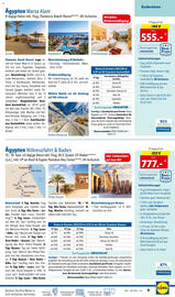 Lidl Flugblatt Seite 9