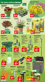 Thomas Philipps Flugblatt woche 32 Seite 2