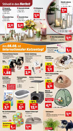 Thomas Philipps Flugblatt woche 32 Seite 5