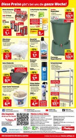Thomas Philipps Flugblatt woche 32 Seite 9