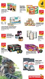 Eurogast Grissemann Flugblatt woche 32 Seite 3