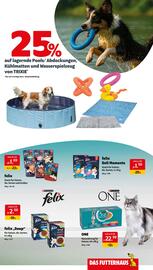 Eurogast Grissemann Flugblatt woche 32 Seite 7