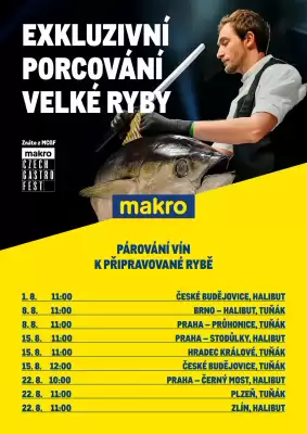 Makro leták (platné do 22-08)