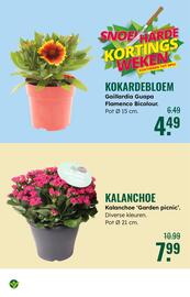 GroenRijk folder Pagina 11