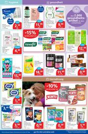 Budni Prospekt woche 33 Seite 5