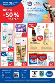 Budni Prospekt woche 33 Seite 8