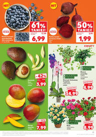 Kaufland gazetka tydzień 31 Strona 17