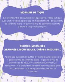 Catalogue Satoriz page 3