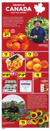 Dominion flyer week 31 Page 6