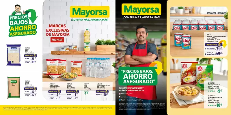 Catálogo Mayorsa (válido hasta 12-08)