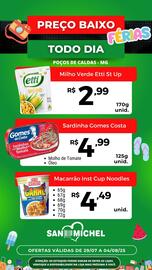 Catálogo San Michel Supermercados semana 31 Página 11
