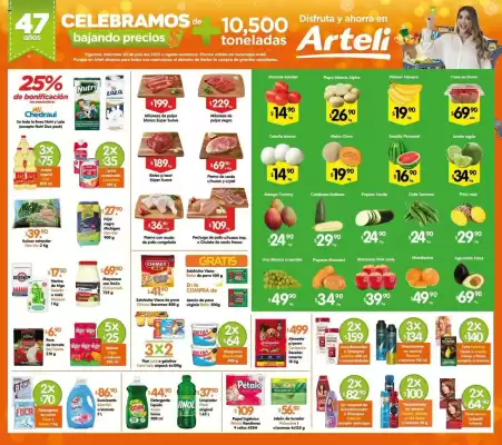 Catálogo Arteli (válido hasta 31-07)