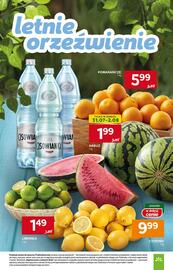 Stokrotka Market gazetka tydzień 31 Strona 9