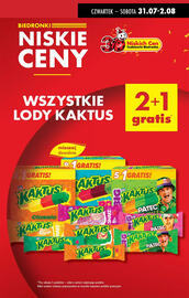 Biedronka gazetka tydzień 31 Strona 15