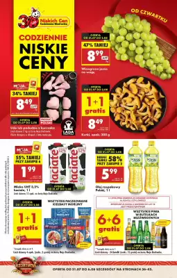 Biedronka gazetka