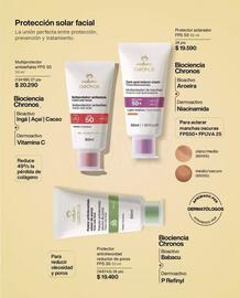 Catálogo Natura Página 104