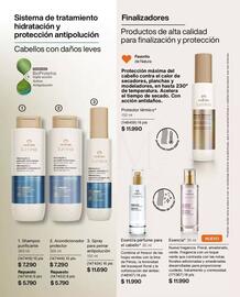 Catálogo Natura Página 152