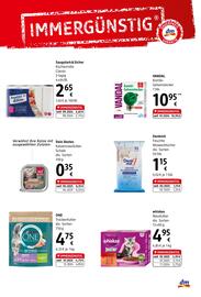 dm Flugblatt Seite 10