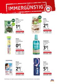 dm Flugblatt Seite 7