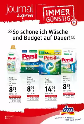 dm Flugblatt
