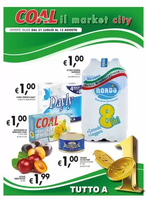 Volantino Coal