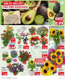 Kaufland Prospekt woche 31 Seite 11