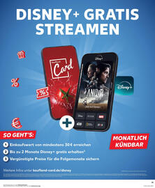 Kaufland Prospekt woche 31 Seite 31