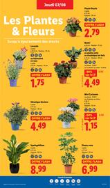 Catalogue Lidl semaine 32 page 29
