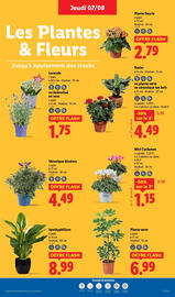 Catalogue Lidl semaine 32 page 29