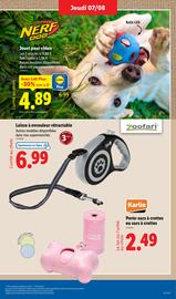 Catalogue Lidl semaine 32 page 45