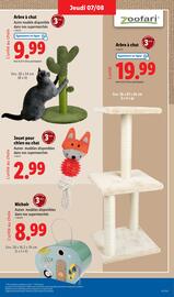 Catalogue Lidl semaine 32 page 47