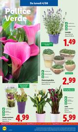Volantino Lidl settimana 32 Pagina 36