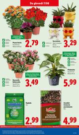 Volantino Lidl settimana 32 Pagina 37