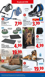 Volantino Lidl settimana 32 Pagina 47