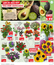 Kaufland Prospekt woche 31 Seite 11