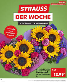Kaufland Prospekt woche 31 Seite 29
