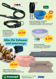 Fressnapf Prospekt woche 31 Seite 16