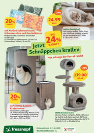 Fressnapf Prospekt woche 31 Seite 7