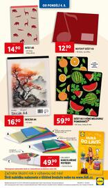 Lidl leták Strana 31