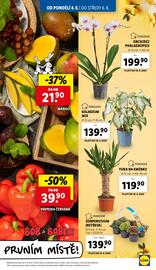Lidl leták Strana 9