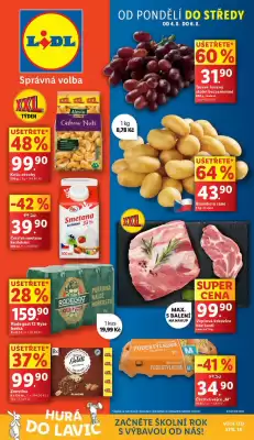 Lidl leták (platné do 6-08)