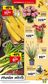 Lidl leták Strana 9
