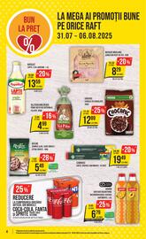 Catalog Mega Image săptămâna 31 Pagină 4