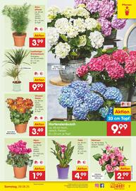 Netto Marken-Discount Prospekt woche 32 Seite 9